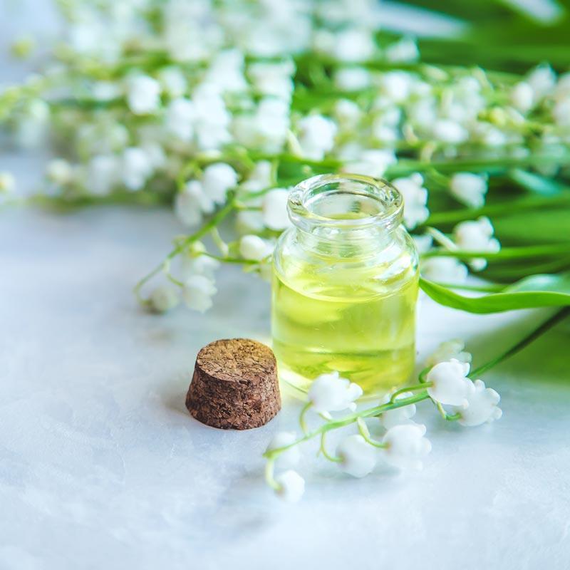 homeopatia-ipcnz homeopatia-ipcnz